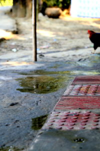 The ground in front of a shop in rural Bangladesh with 4 red square tactile strips and a chicken in the background.