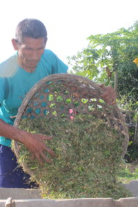 Man with a visual disabillity empties basket of grass into a large feeding container. His goat can be found behind him in the distance.